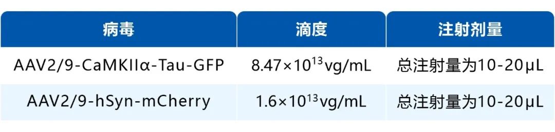 AAV、VSV和 LV在猕猴上的应用