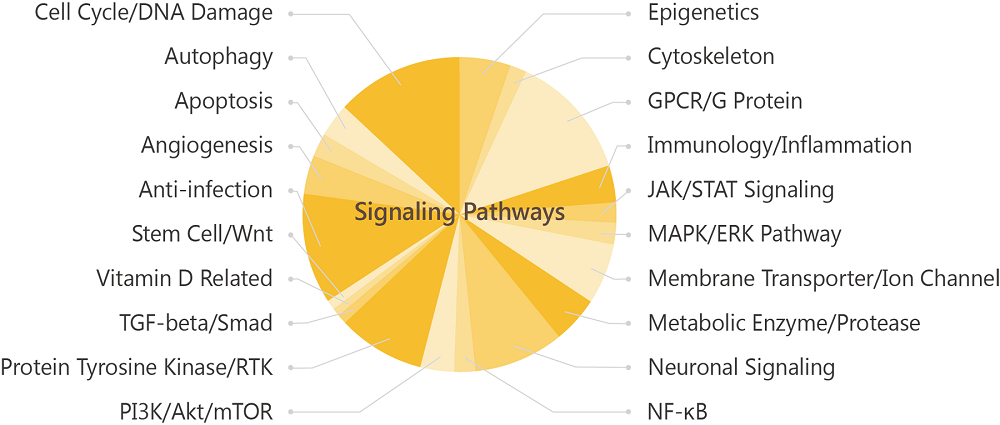 祝贺MCE＆昊鑫生物连续八年合作共赢