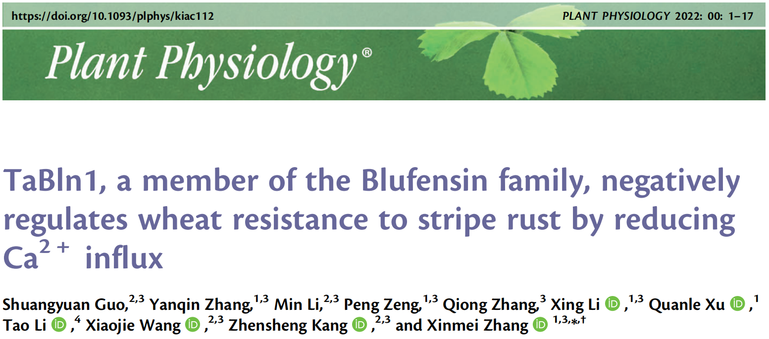 【文献速递】西北农林科技大学植物免疫团队发现负调控小麦抗条锈病新机制