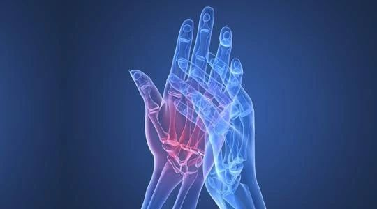 盘点∣类风湿性关节炎的动物模型有哪些？