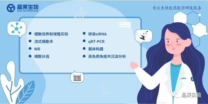 技术资料图片19