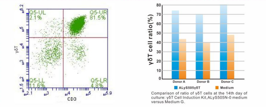 贝索细胞/CSTI |  γδT细胞高效诱导试剂盒ALyS5