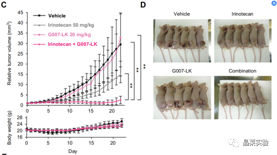 技术资料图片18