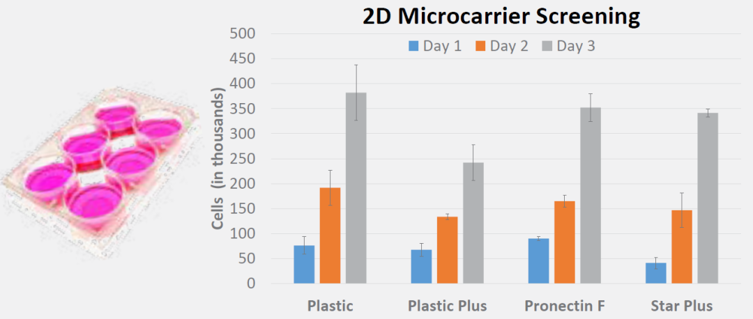 人血小板裂解物（hPL）系列分享（二）：利用微载体体外培养人间充质干细胞（hMSCs）