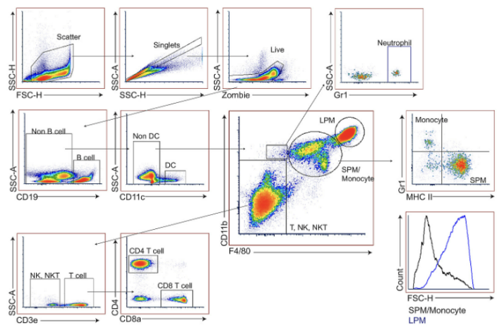 FRET信号实时解析-全光谱流式拓展病毒感染动态研究