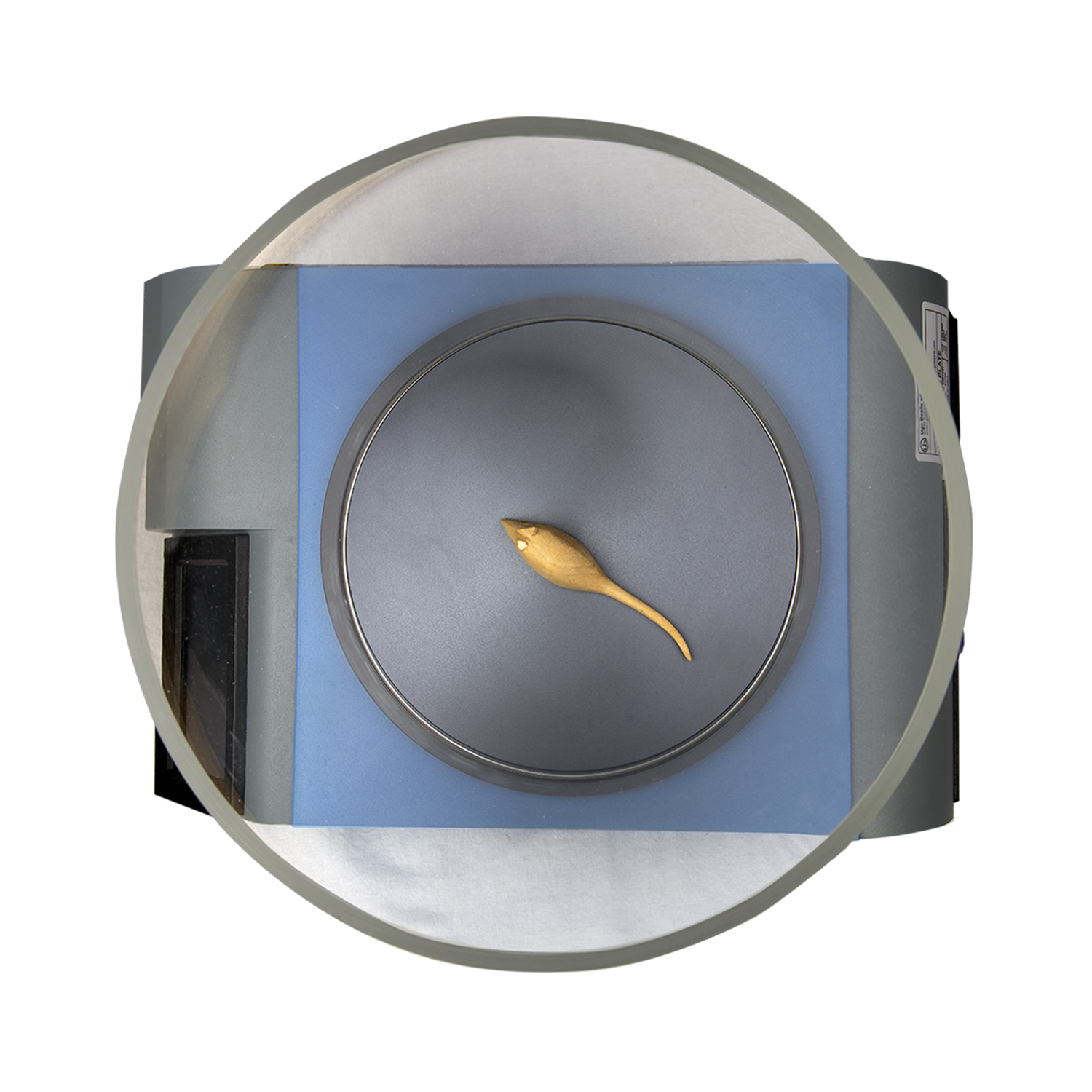 冷热盘痛觉测试仪35150