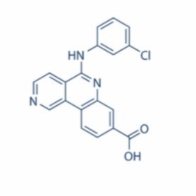 DAPT (GSI-IX), y-secretase抑制剂