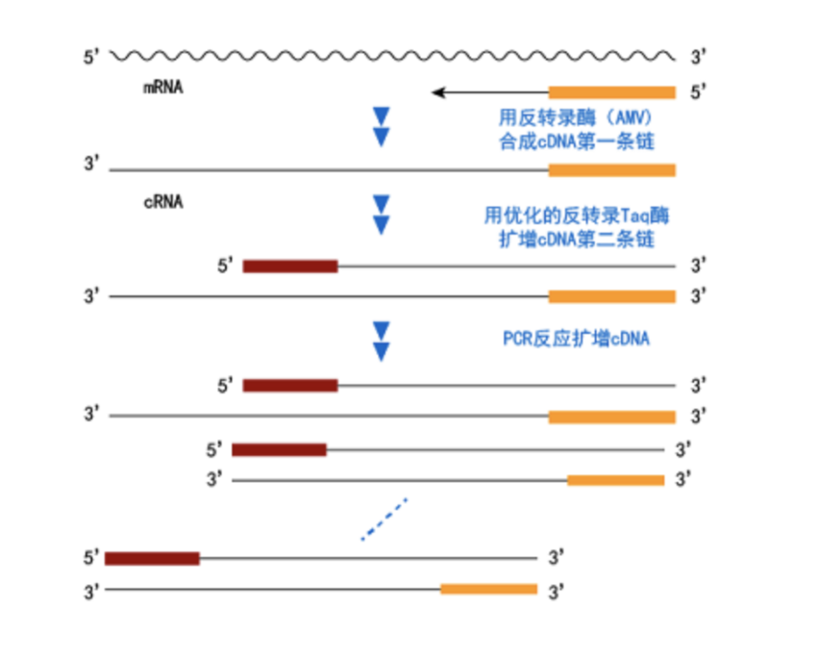 技术资料图片1