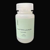 IN-WB001 Invent ® RIPA裂解液