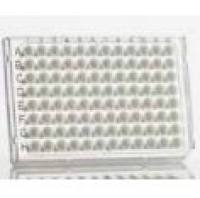 Azenta 4titude®FrameStar®  96 孔半裙边PCR板, 适配Roche 