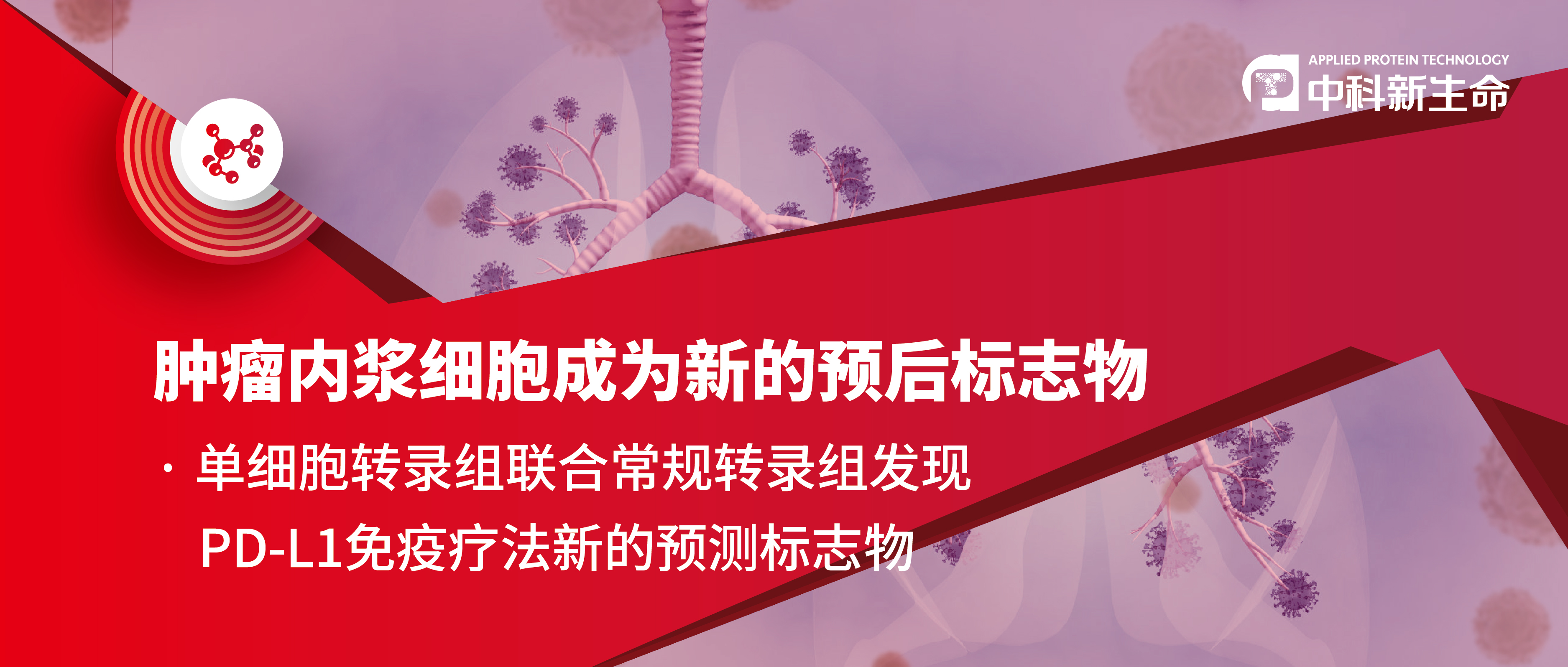 Cancer Cell丨单细胞转录组揭示浆细胞可作为非小细胞肺癌PD-L1免疫疗法的预后标志物