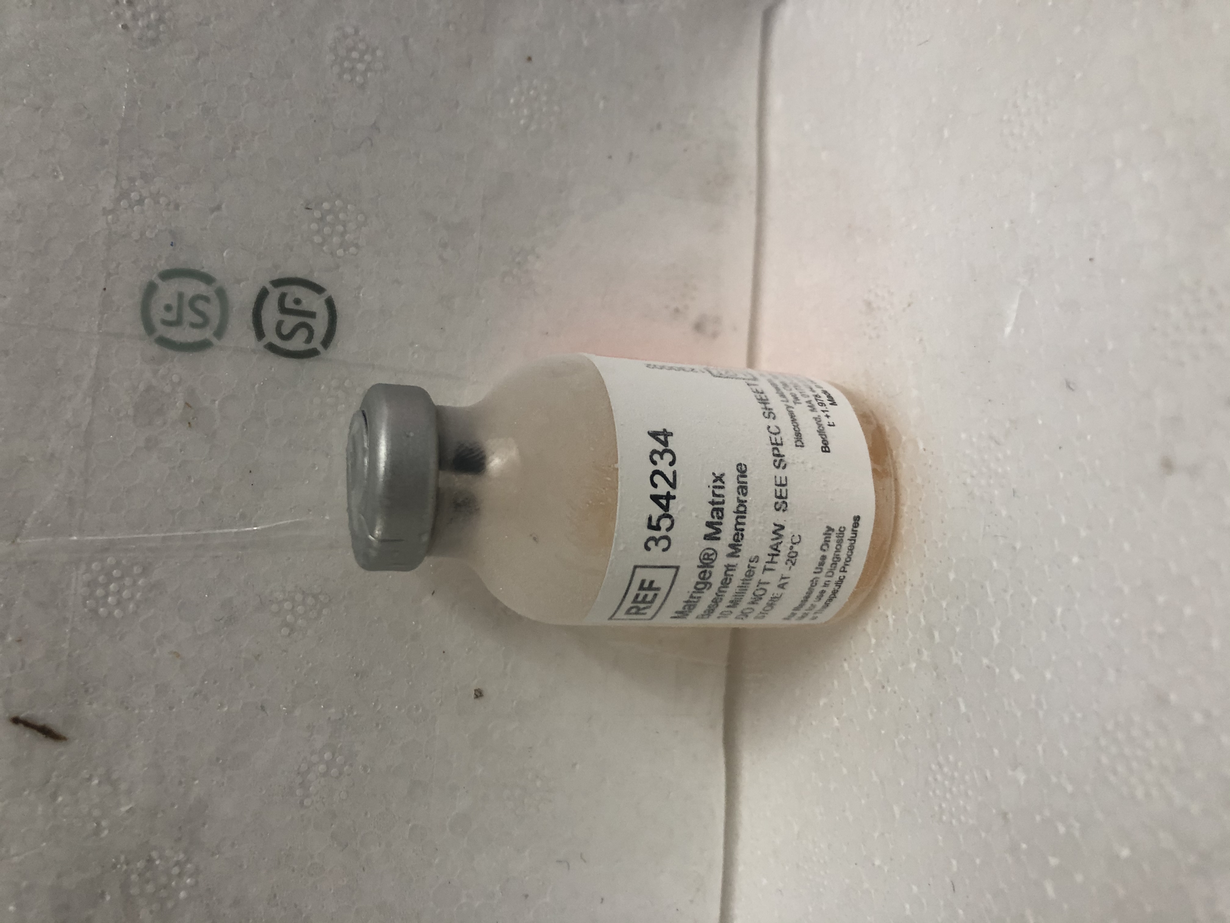 现货BioCoat货号354234基底膜基质13611631