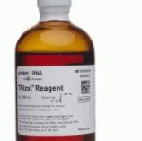 TRIzol™ Reagent