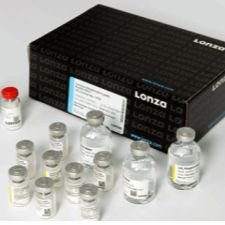 PYROGENS Ultra凝胶法宿试剂检测（含对照） 内毒素对照品SxSmL 200次=4x50次/管