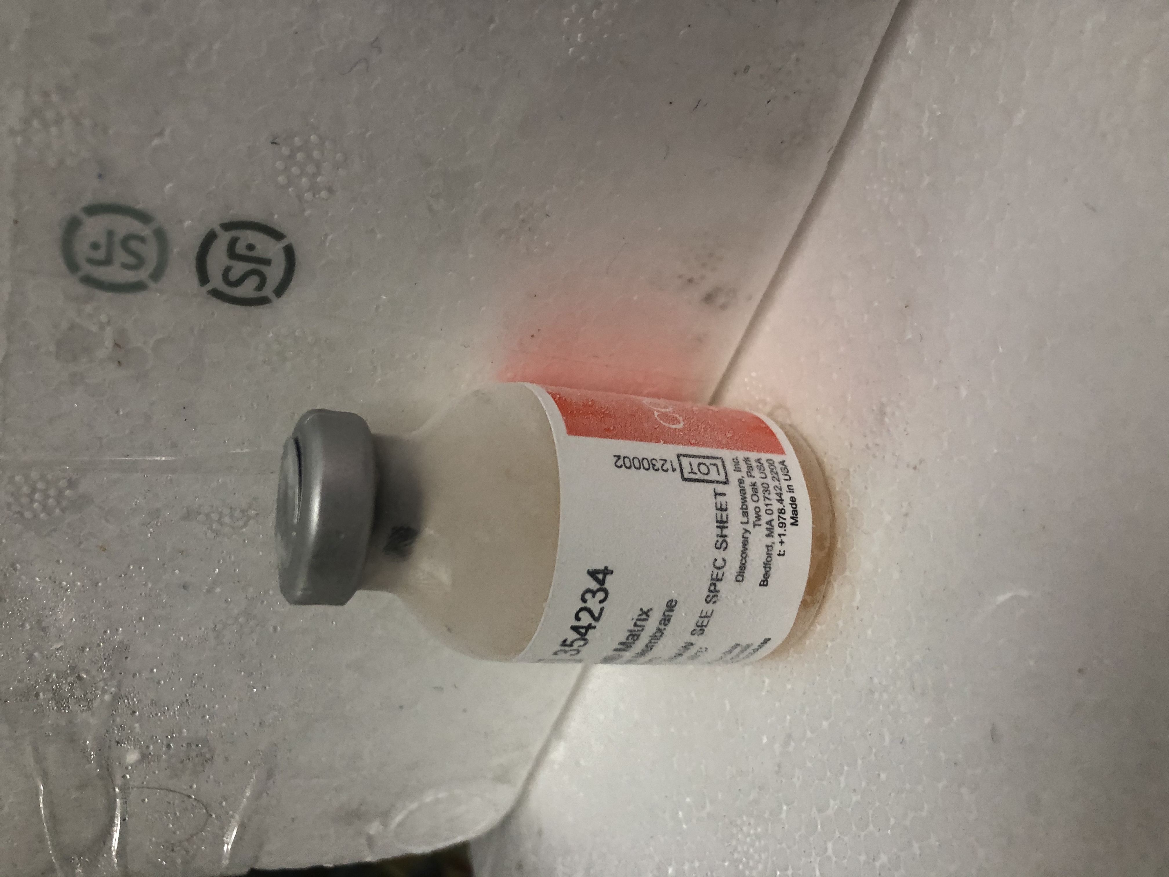 现货BioCoat货号354234基底膜基质13611631