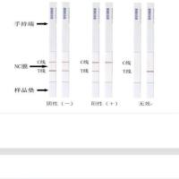 有机氯类快速检测试纸条（胶体金法）