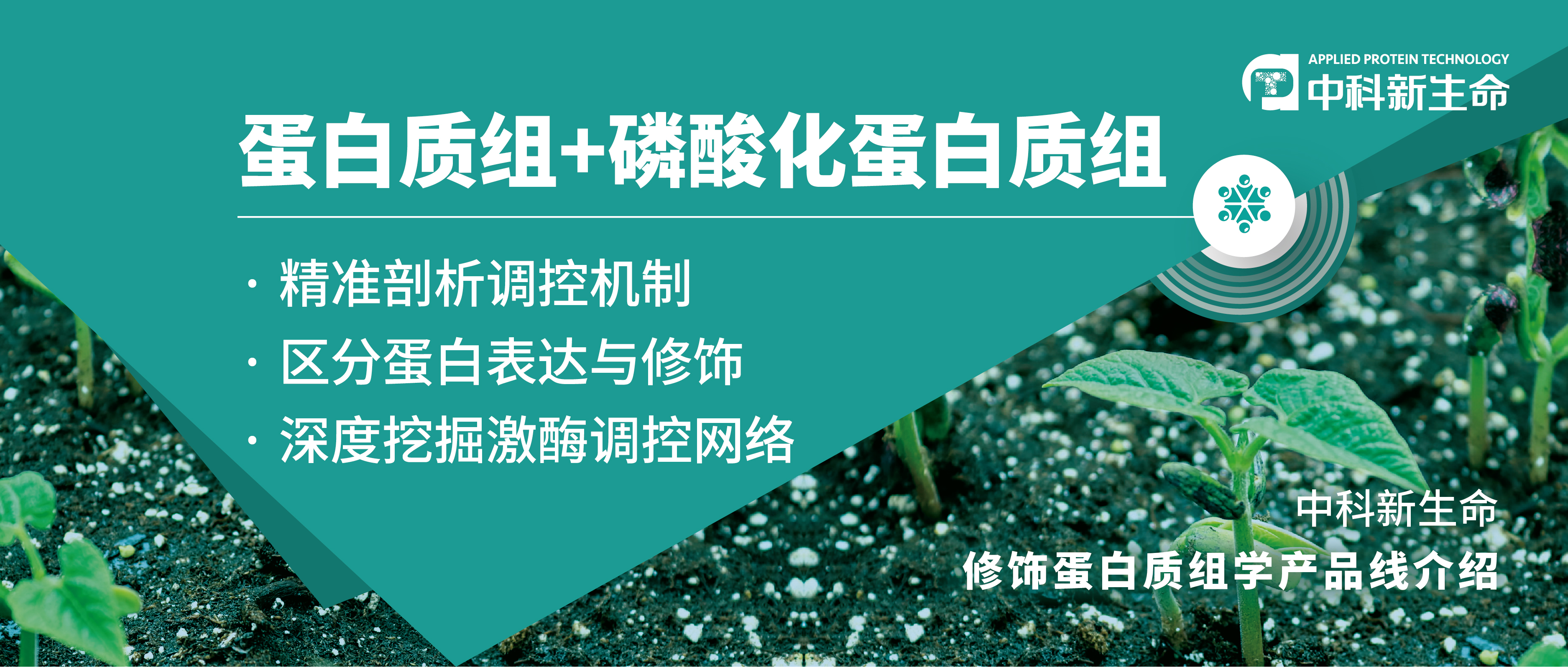 项目文章Plant Physiol （IF 8.34）| 喻德跃教授团队采用磷酸化组揭秘大豆开花和抗虫之间的协调关系