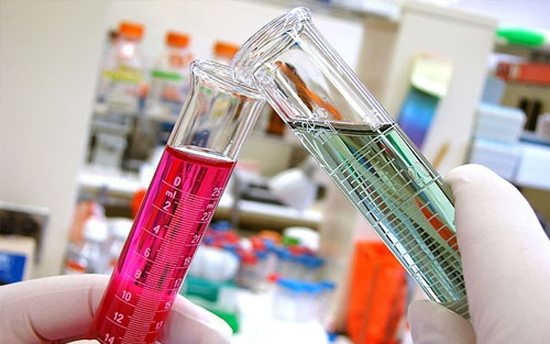 可溶性抗原(solubleantigen)的制备及鉴定