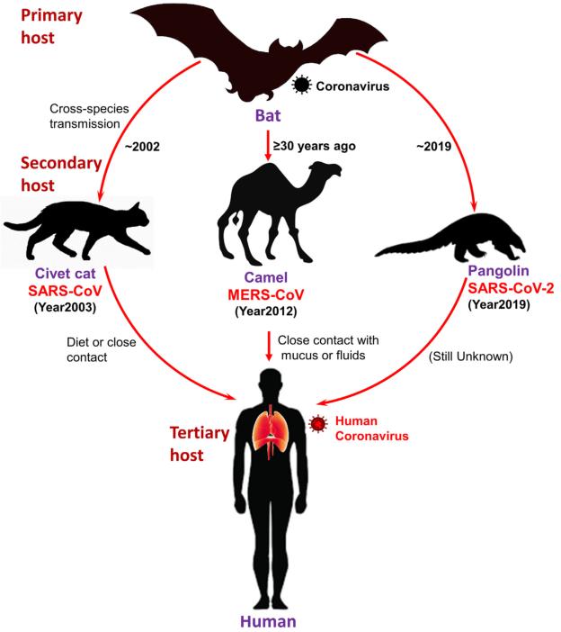 Cytena单细胞打印机助力新冠病毒棘突蛋白的开发