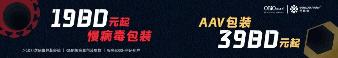 Sci Adv. | 阿尔兹海默症风险因子CLAM介导CP-AMPAR内吞机制双向调控突触可塑性