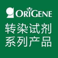 转染试剂系列产品