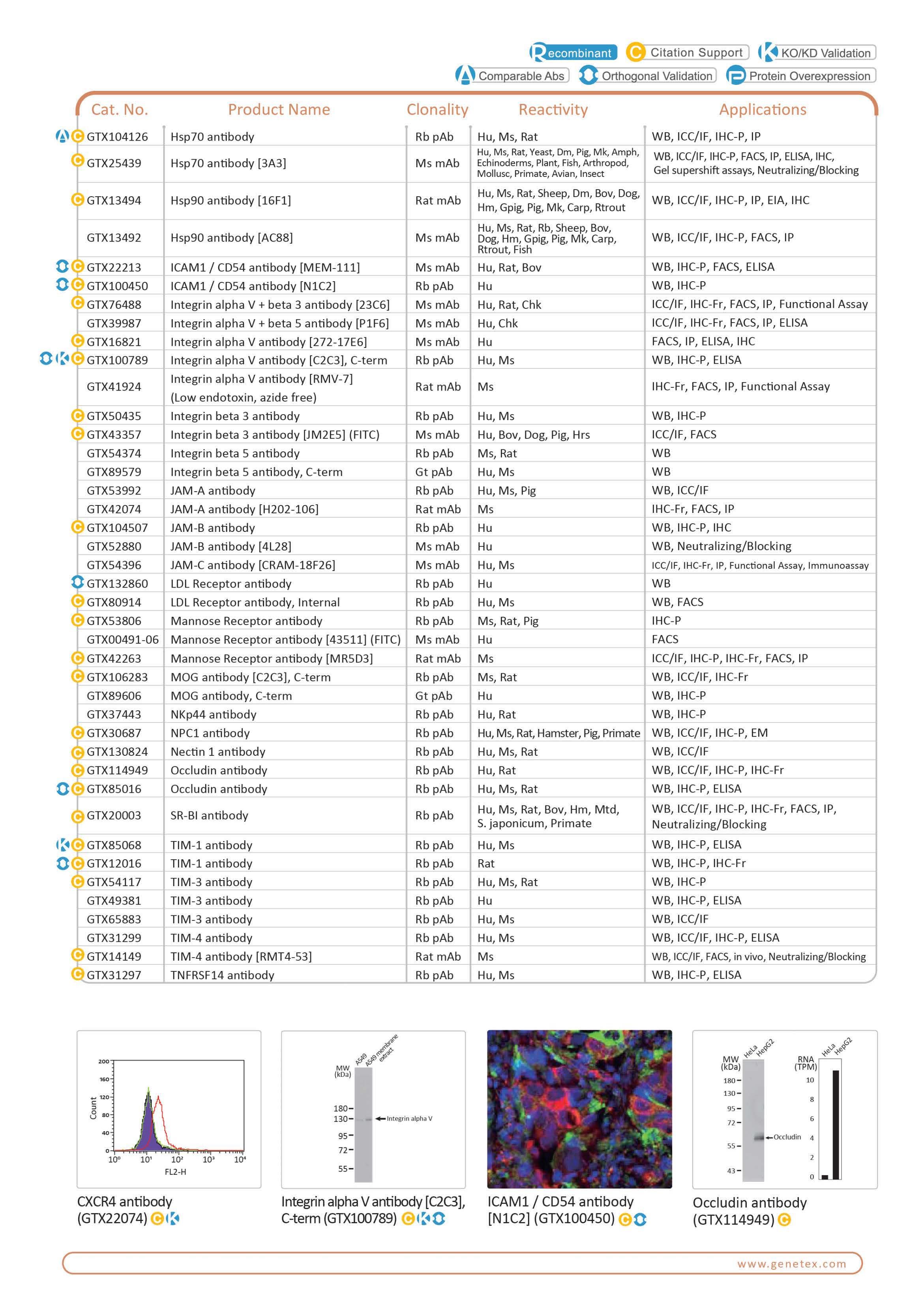 单页 - 病毒与宿主相互作用