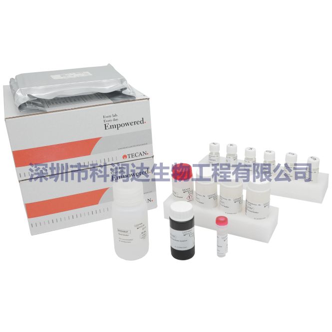 抗精子抗体检测试剂盒