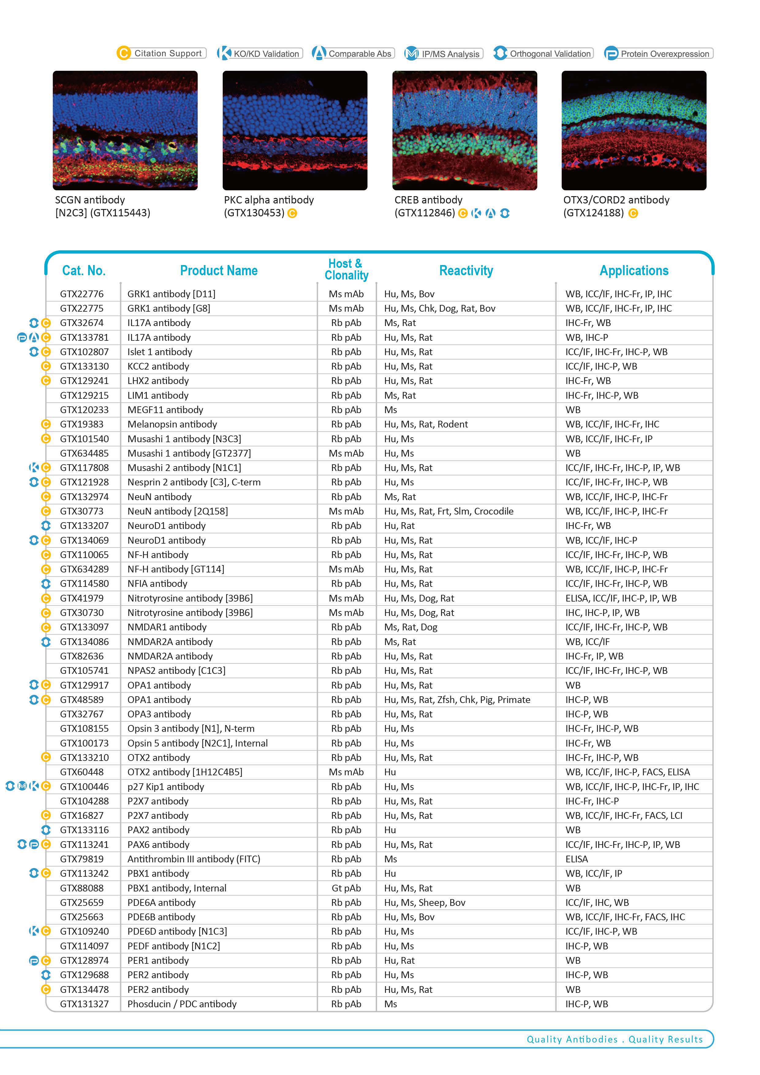 单页 - 视觉和视网膜研究