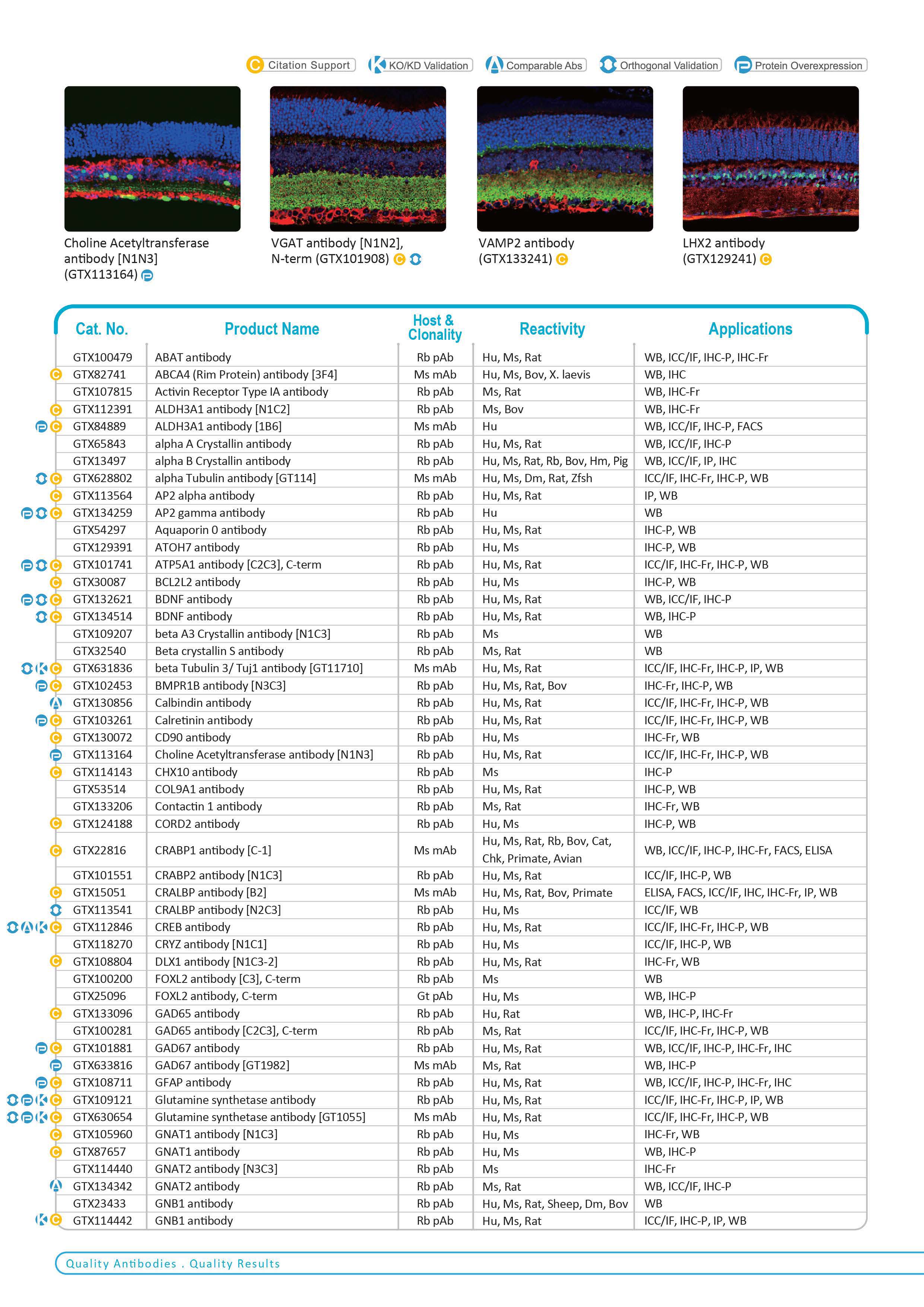 单页 - 视觉和视网膜研究