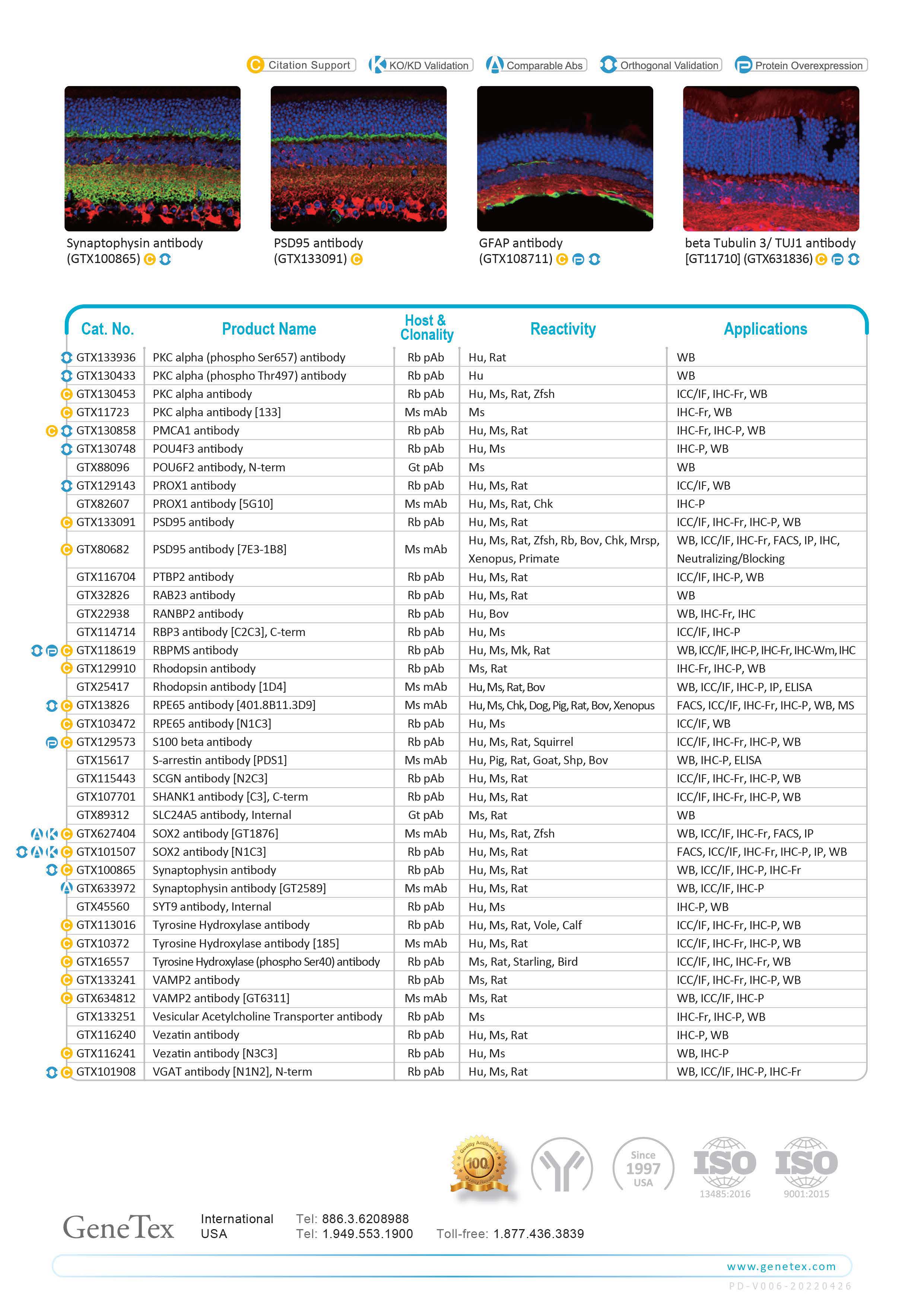 单页 - 视觉和视网膜研究