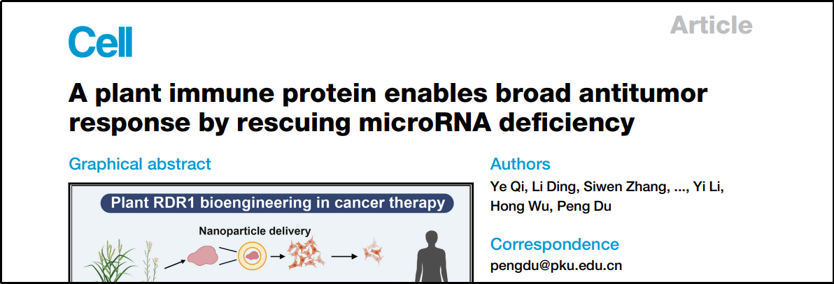 荣登CELL | BEAVERBEADS®蛋白纯化磁珠助力发现抗癌新思路！