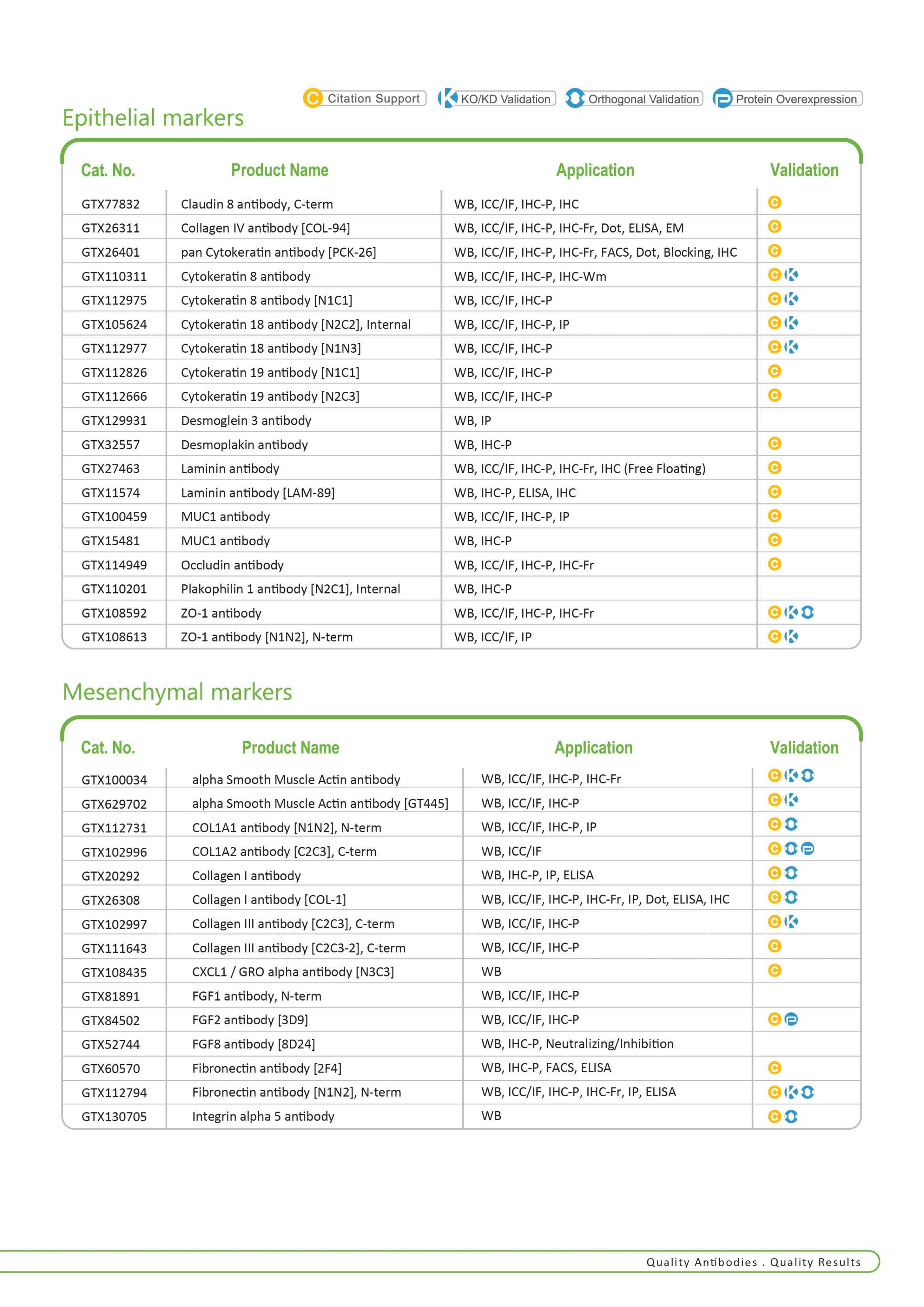 单页 - 上皮 - 间质转化