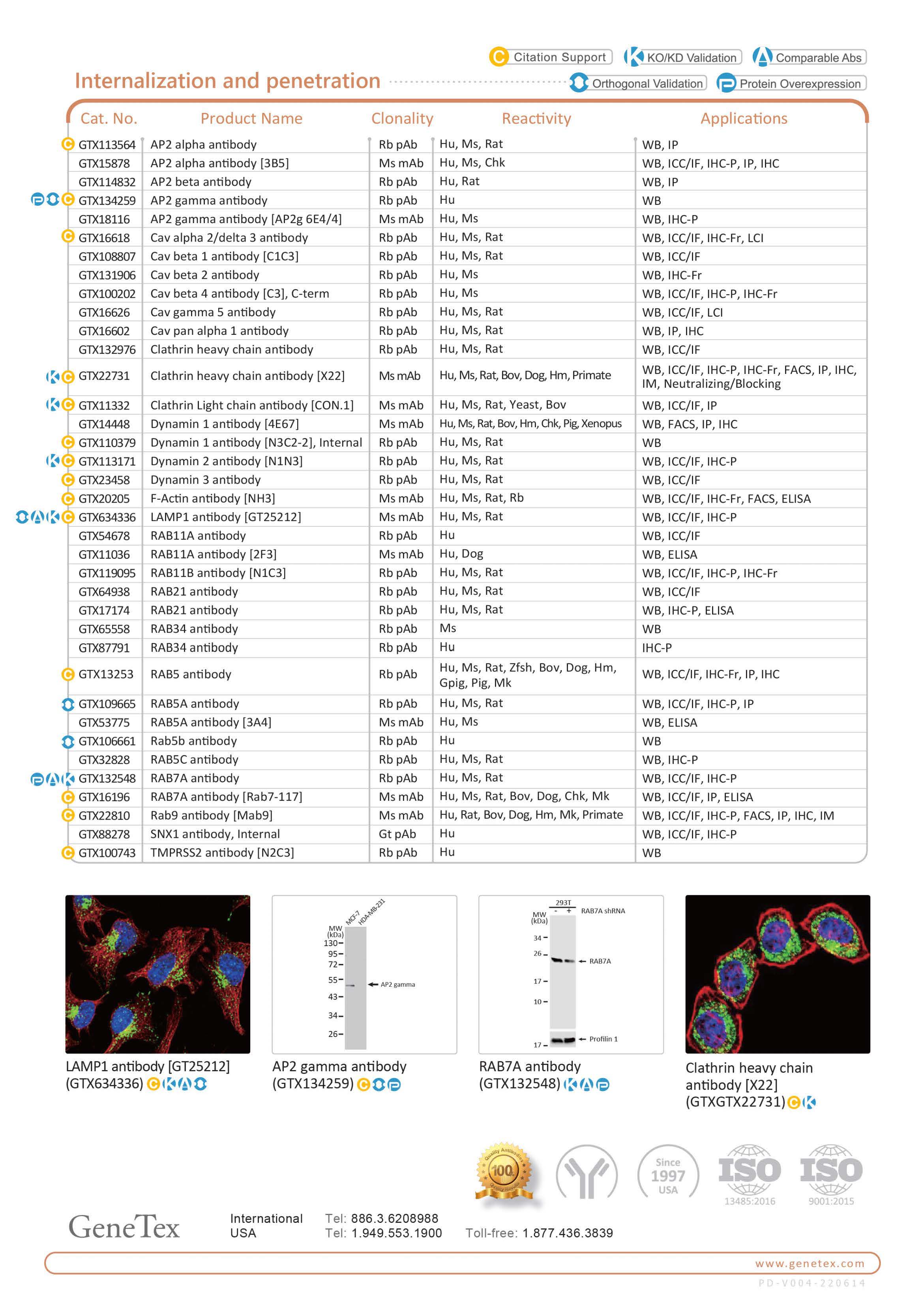单页 - 病毒与宿主相互作用
