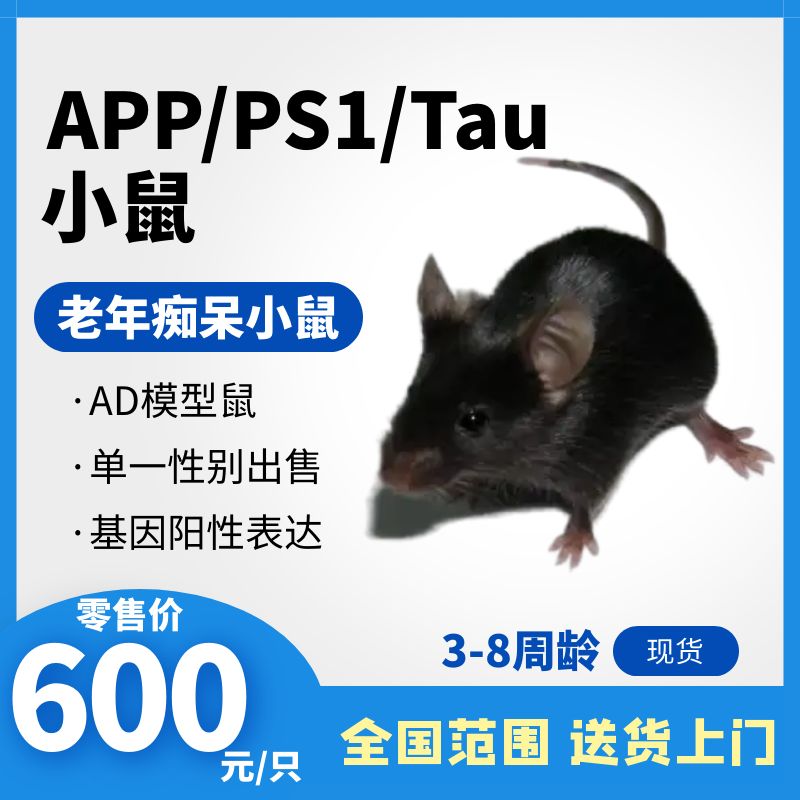 APP/PS1/Tau小鼠 三转小鼠老年痴呆小鼠  3-8w雌/雄