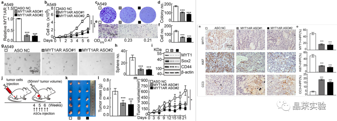 技术资料图片11