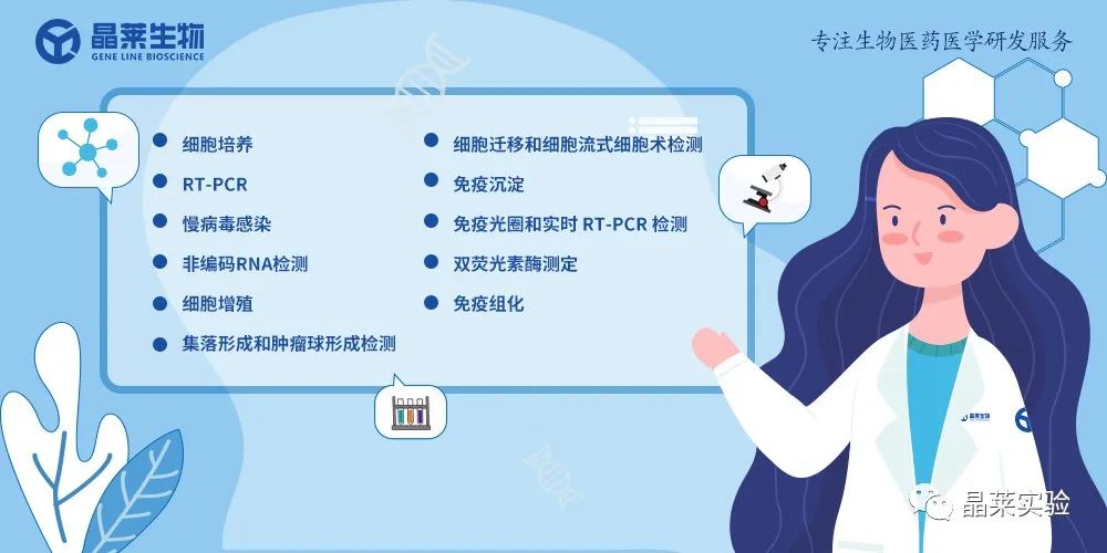 技术资料图片13