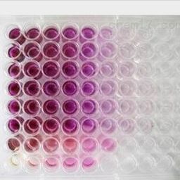 96孔细胞培养板，独立包装，标准TC,平底，带盖，已灭菌