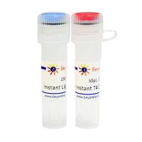 超快速DNA连接试剂盒