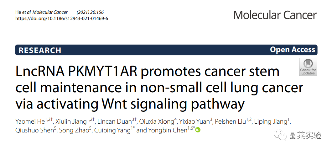 高分文献解读之 “LncRNA PKMYT1AR通过激活Wnt信号通路促进非小细胞肺癌的癌症干细胞维持”