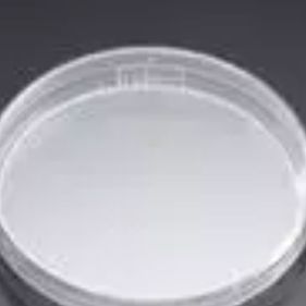 60x1 5mm培养皿，聚苯乙烯，标准TC,带盖，已灭菌