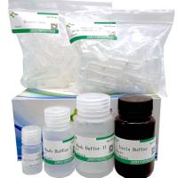 通用RNA提取试剂盒