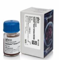 用于 T 细胞活化和扩增的 Dynabeads™ 人 T 活化剂 CD3/CD28