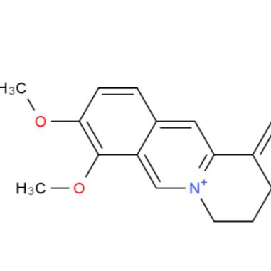 盐酸巴马汀