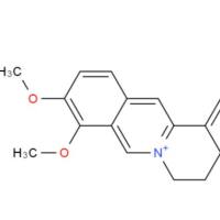 盐酸巴马汀