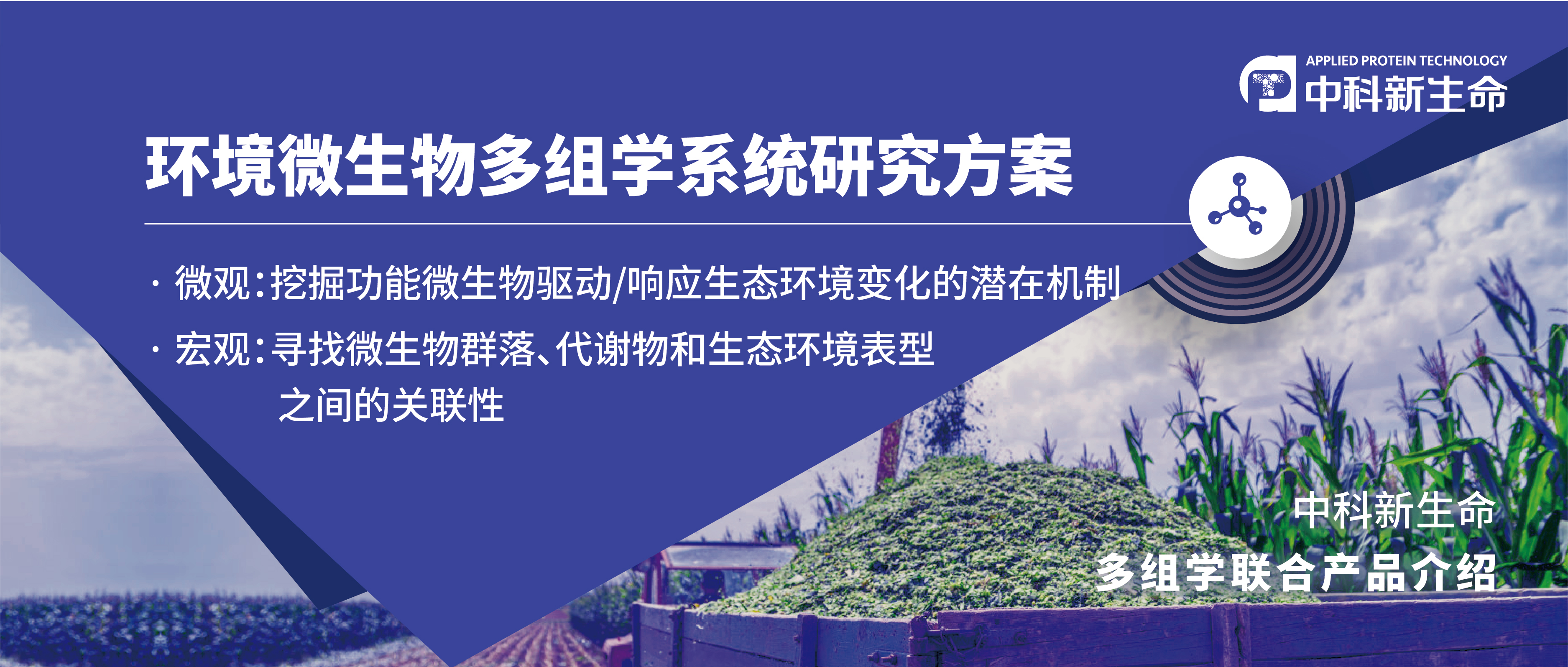 项目文章 | 恭喜郑大庞会利老师团队微生物组研究成果三连发