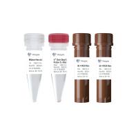 新一代AccurSTART一步法RT-qPCR单管预混液（Q621）