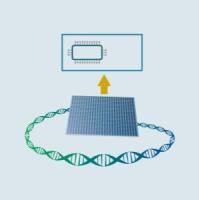 引物池（Oligo Pools)芯片合成