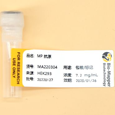 肺炎支原体抗原/MP Ag/Mycoplasma Pneumoniae Antigen