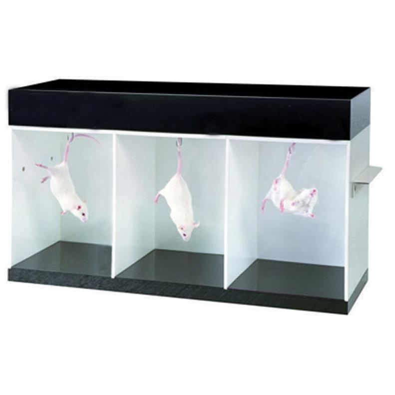 悬尾实验测试仪 