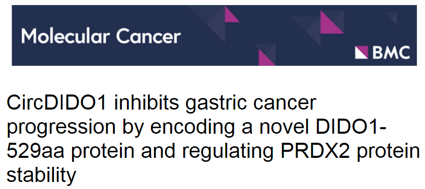 喜报！热烈祝贺我司明星产品TRAP试剂盒荣登国际知名综合期刊《Molecular Cancer》(IF=41.443)